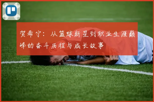 贺希宁：从篮球新星到职业生涯巅峰的奋斗历程与成长故事